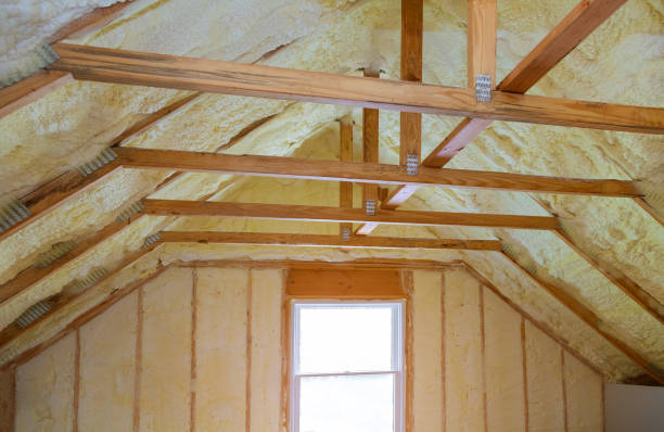 Best Specialized Insulation Services in Emmon, AK