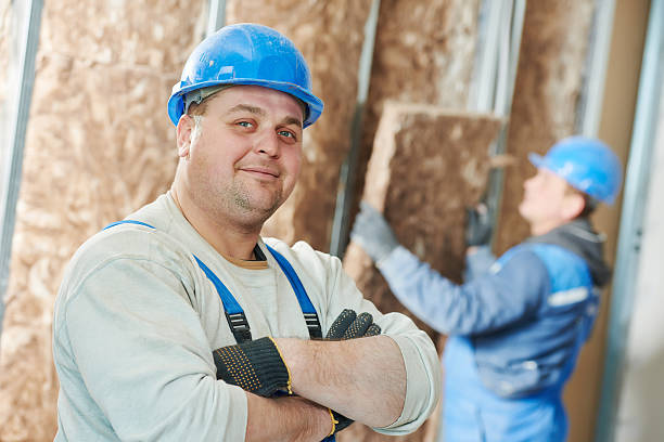 Best Eco-Friendly Insulation in Emmon, AK